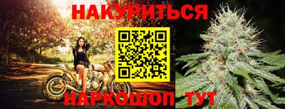 ешки Моздок