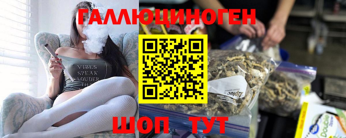 Галлюциногенные грибы мухоморы Туапсе